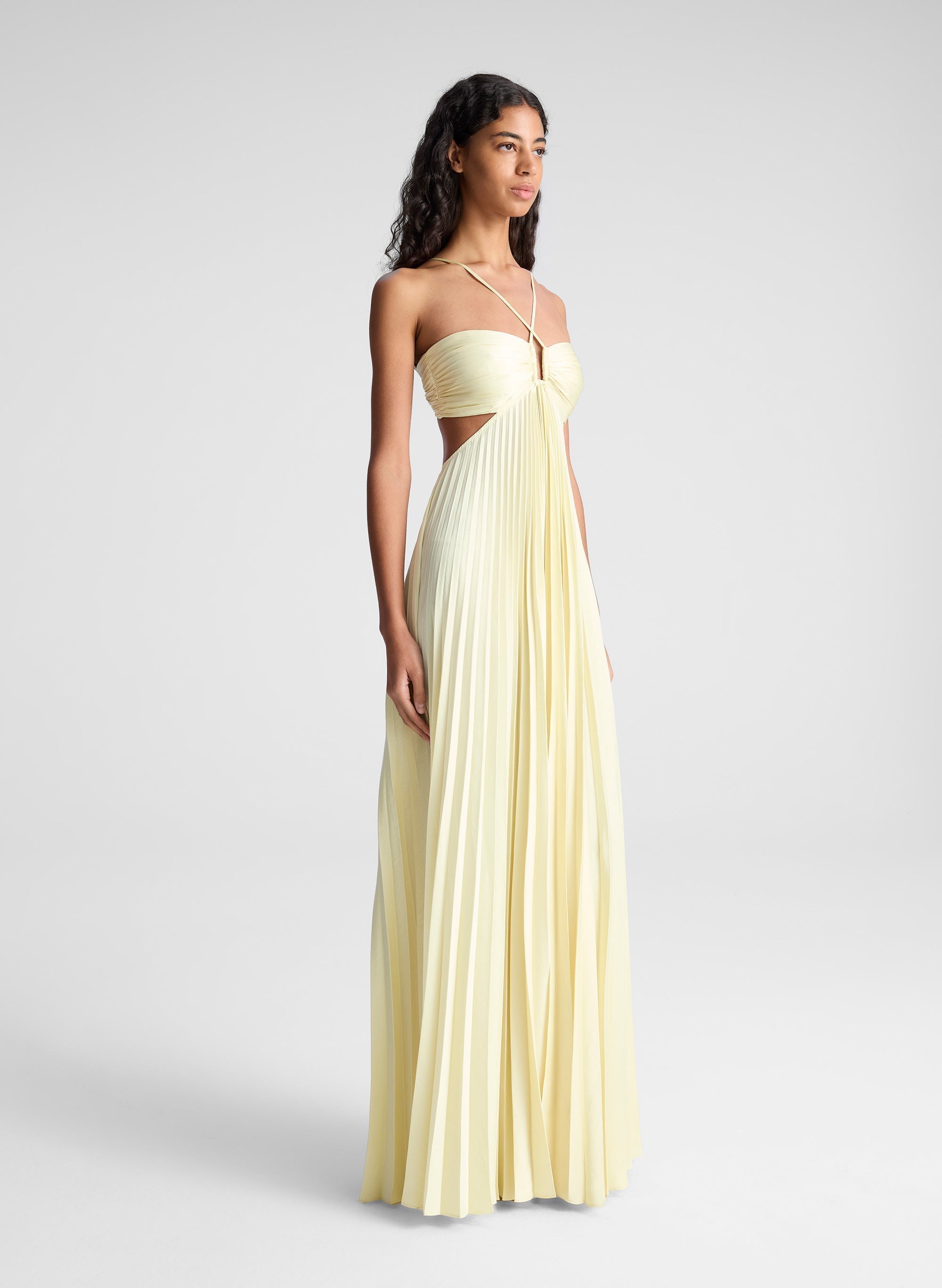 Iris | Pleated Midi Dress