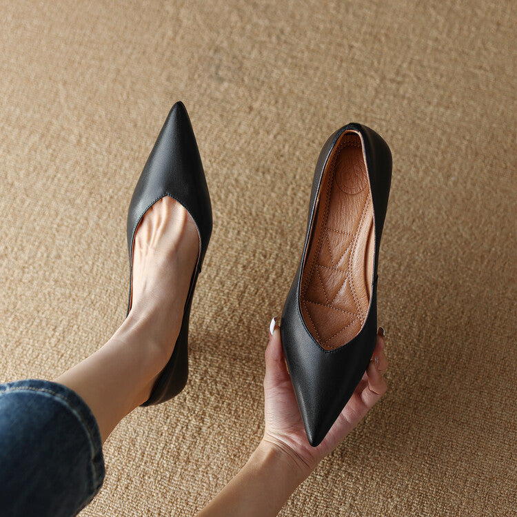 Sylvie | Pointed Toe Low Heel Pumps
